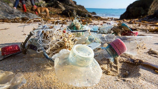 Mikrobet e vegjël po hanë plastikën e oqeanit