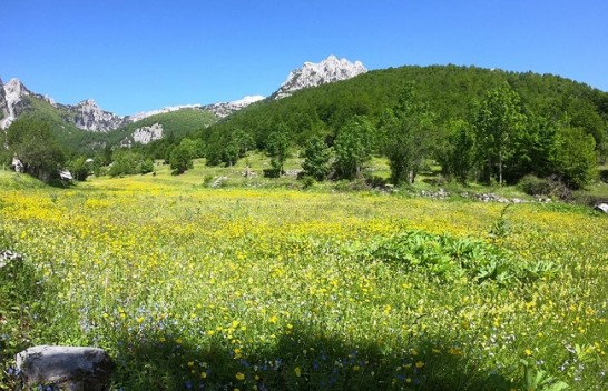 Moti sot dhe dy ditë ardhshme në vendin tonë