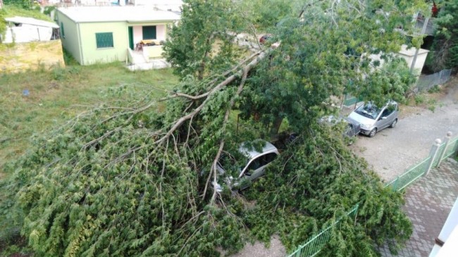 Shëngjini goditet nga erëra të forta dhe reshjet e shiut