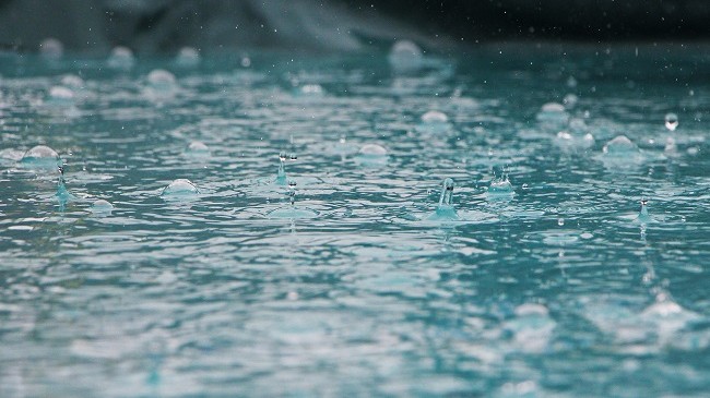 Mesatarja e reshjeve të shiut për muajin gusht në qytete europiane, edhe Prishtina në mesin e tyre