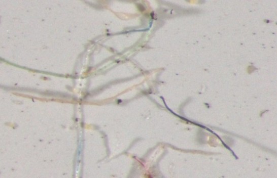 Shkencëtarët zbulojnë mikroplastikë shumëngjyrëshe në reshjet e shiut