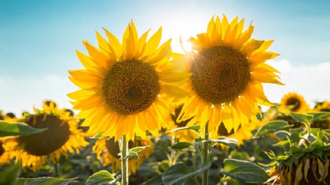 Moti në Maqedoninë e Veriut me diell dhe temperatura deri në 35 °C