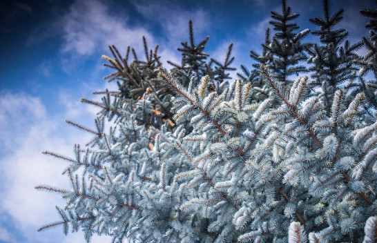 Paralajmërojnë meteorologët, tetori dhe nëntori i ftohtë, dhjetori më i nxehtë