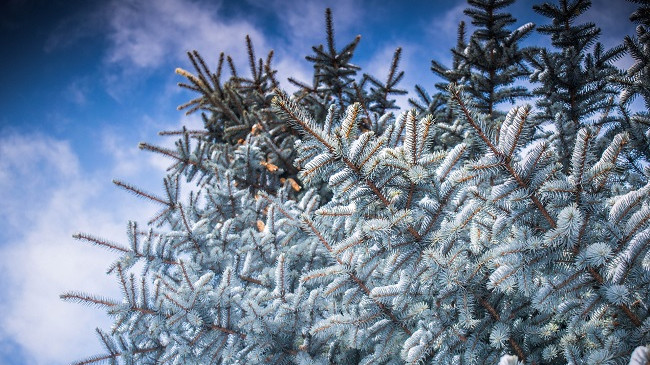 Paralajmërojnë meteorologët, tetori dhe nëntori i ftohtë, dhjetori më i nxehtë
