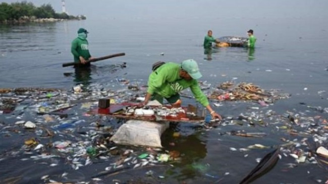 Mbetjet plastike kërcënojnë jetën e shpendëve shtegtarë