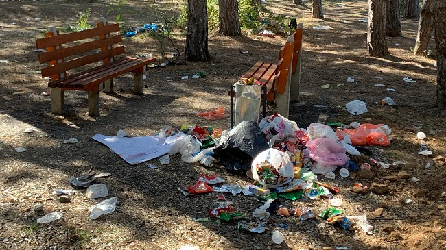 Krimi mjedisor: Ja si duket parku Te Pishat e Sllatinës në fundjavë [Foto]