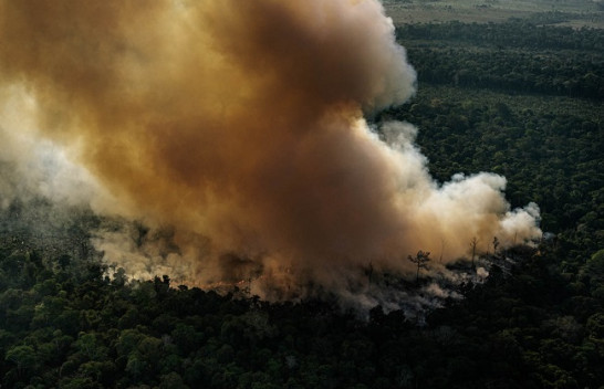 Në Foto: Fiset indigjene duke luftuar për të shpëtuar Amazonën