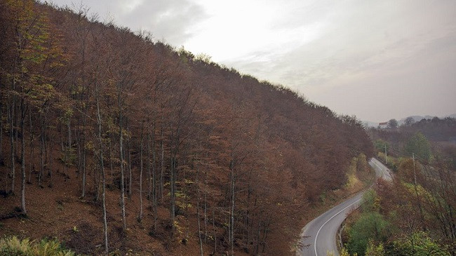 Moti sot dhe të enjten në Kosovë
