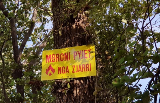Elbasan, vendosen tabela ndërgjegjësuese kundër zjarreve në zonat e mbrojtura