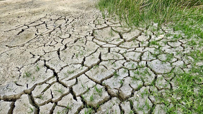 Në Prishtinë mbahet marsh kundër ndryshimeve klimatike