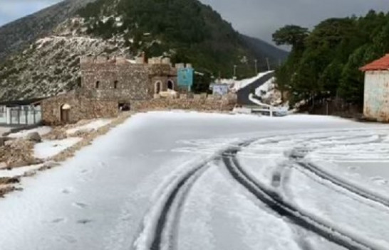 Llogora zbardhet nga bora