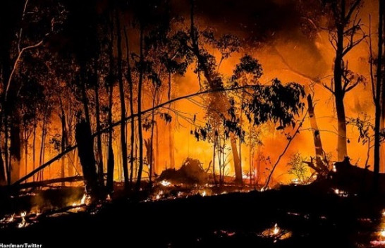 Australia në alarm, 30 mijë turistë të bllokuar nga zjarret [Foto]
