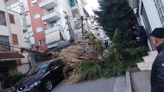 Era e fortë godet Tiranën/ Veliaj: Shmangin qëndrimet në afërsi të objekteve dhe pemëve