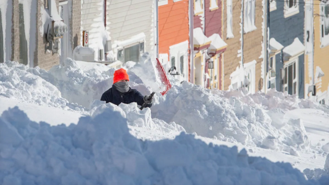 Stuhi e fortë bore godet Newfoundland-in lindor të Kanadasë