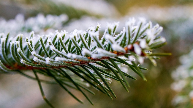 Parashikimi i meteorologëve për sot dhe nesër në Kosovë