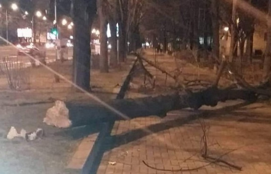 Erërat e forta shkulin pemë dhe tabela në Shkup [Foto]