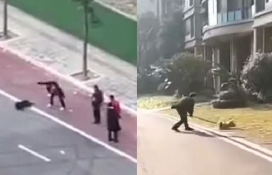 E tmerrshme: Banorët në Kinë mbysin qenin nga frika se përhap koronavirusin [Video]