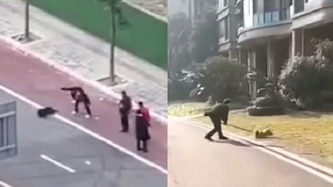E tmerrshme: Banorët në Kinë mbysin qenin nga frika se përhap koronavirusin [Video]