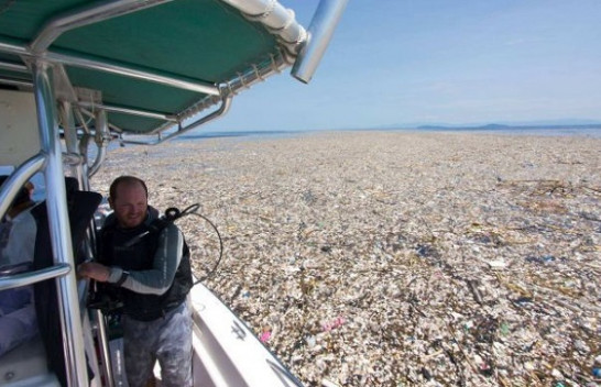 Të notosh në plastikë/ Fotografja zbulon ‘Detin Plastik’ në Ishujt Karaibe