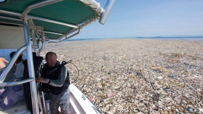 Të notosh në plastikë/ Fotografja zbulon ‘Detin Plastik’ në Ishujt Karaibe