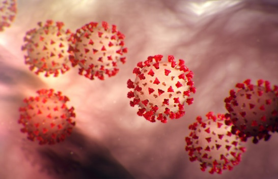 Konfirmohet rasti i parë me koronavirus në Maqedoni