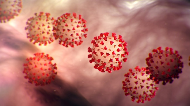 Konfirmohet rasti i parë me koronavirus në Maqedoni