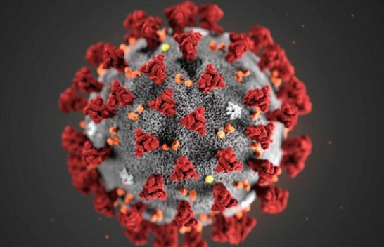 Instituti i Shëndetit Publik: Në Kosovë asnjë rast me koronavirus