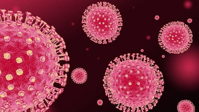 Instituti i Shëndetësisë me njoftim të ri: Në Kosovë nuk ka koronavirus