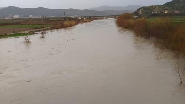 Reshje të dendura shiu - Del nga shtrati lumi Shkumbin, përmbytet Elbasani