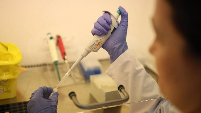 Në Shqipëri nuk ka koronavirus