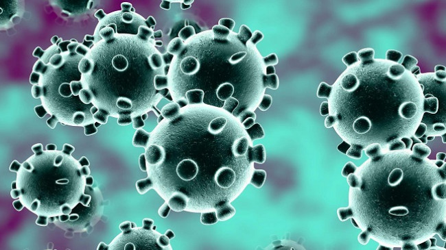 Shkon në 12 numri i të prekurve me koronavirus në Shqipëri