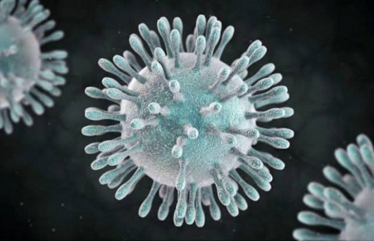 Instituti i Shëndetësisë demanton lajmin lidhur me rastin e dyshuar për koronavirus në Kosovë
