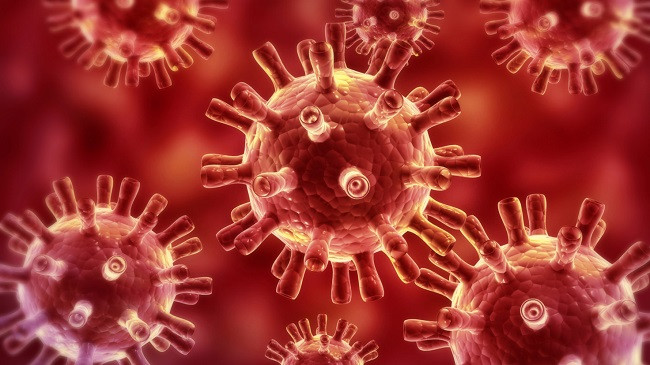 Ministri e Shëndetësisë: Nuk ka raste të konfirmuara me koronavirus në Kosovë