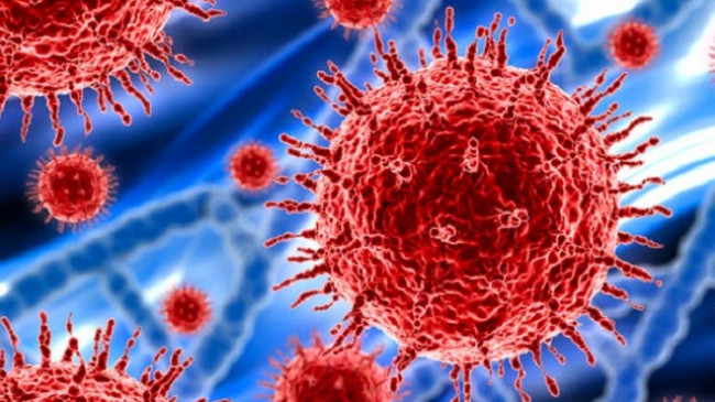 Lajm i mirë – Pacienti i parë me koronavirus në Shqipëri drejt shërimit