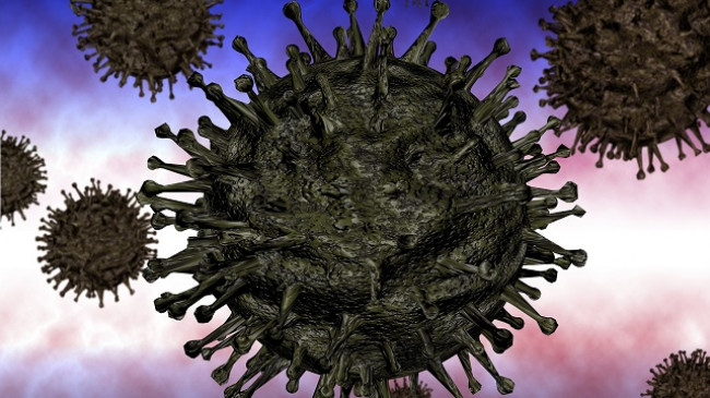 Regjistrohen edhe dy raste të reja me koronavirus, arrin në 63 numri i personave të infektuar në Kosovë