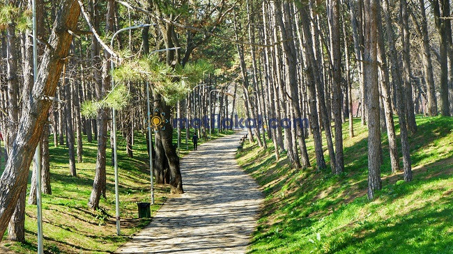 Temperaturat mesatare për muajin prill në qytete evropiane, Tirana dhe Prishtina në mesin e tyre