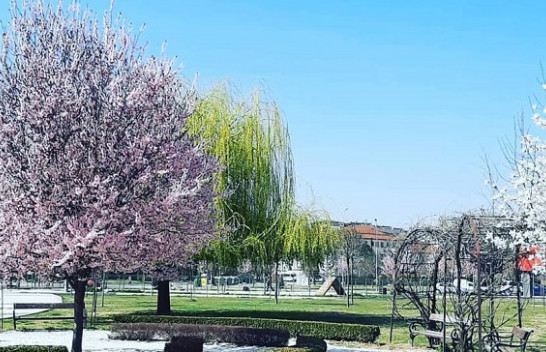 Kthehet moti pranveror në Maqedoni, këto janë temperaturat për sot dhe dy ditët e ardhshme