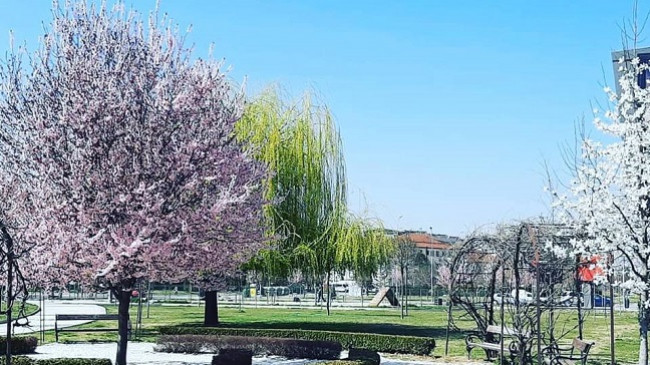 Kthehet moti pranveror në Maqedoni, këto janë temperaturat për sot dhe dy ditët e ardhshme