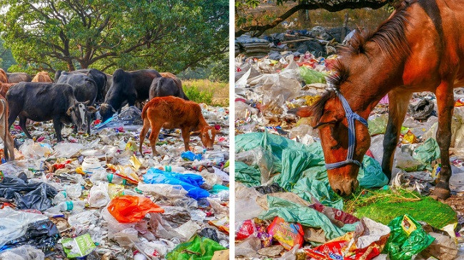 17 foto që dëshmojnë se njerëzimi duhet të ndalet dhe të shikojë se çfarë po i bën tokës
