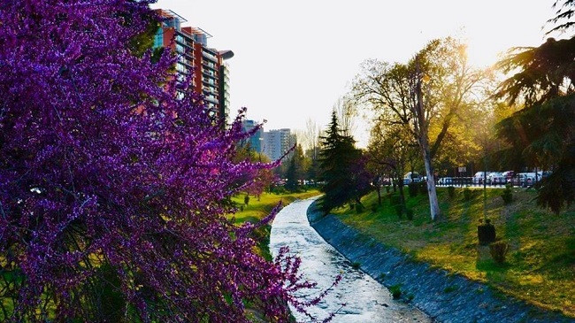 Java nis me diell, nga e marta reshje shiu në Shqipëri