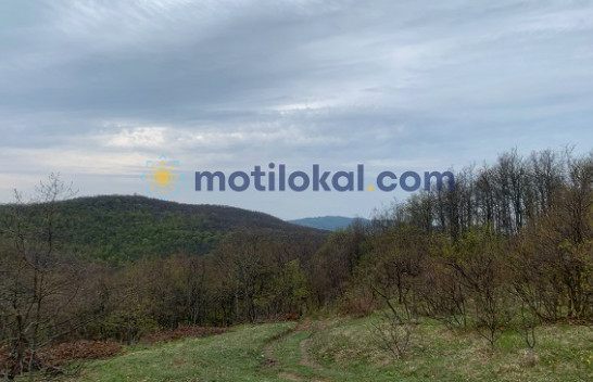 Moti në Kosovë, i vranët me shi dhe shkarkime rrufesh