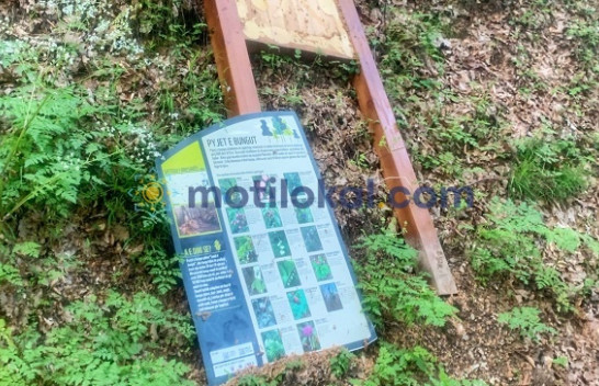 Dëmtohet tabela me informacione mbi florën dhe faunën në peizazhin e mbrojtur të Gërmisë