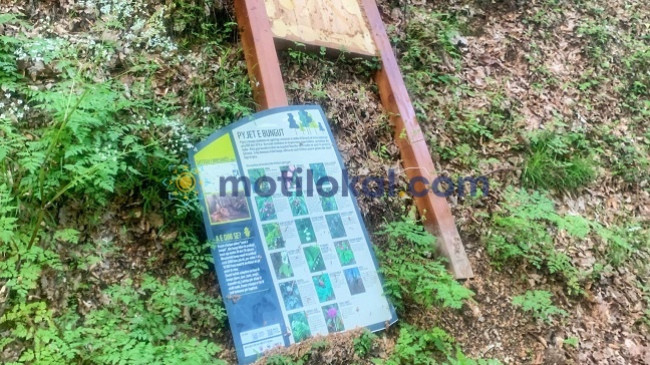 Dëmtohet tabela me informacione mbi florën dhe faunën në peizazhin e mbrojtur të Gërmisë