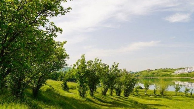 Vjen i nxehti afrikan, temperatura deri në 33 °C në Shqipëri