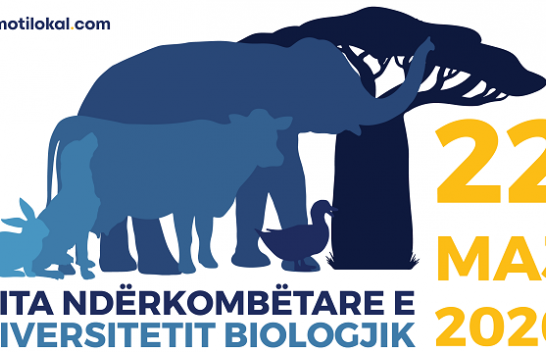 22 Maj, Dita Ndërkombëtare e Diversitetit Biologjik - Çdo zgjidhje gjendet në natyrë!