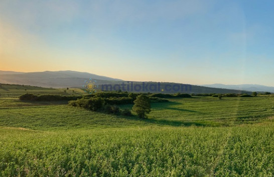 Sot dita e verës sipas kalendarit meteorologjik