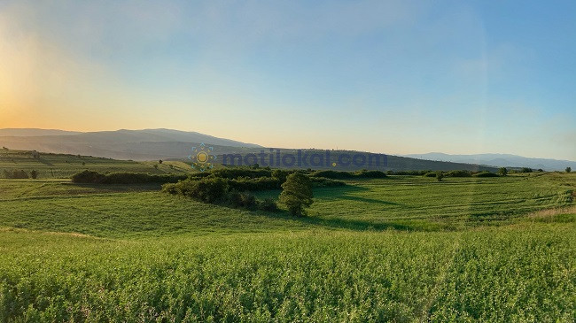 Sot dita e verës sipas kalendarit meteorologjik