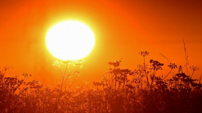 Temperatura përvëluese, në Spanjë termometri shënon 47 gradë Celsius