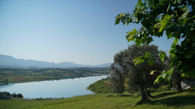 Diell dhe temperatura të larta, njihuni me parashikimin e motit në Shqipëri