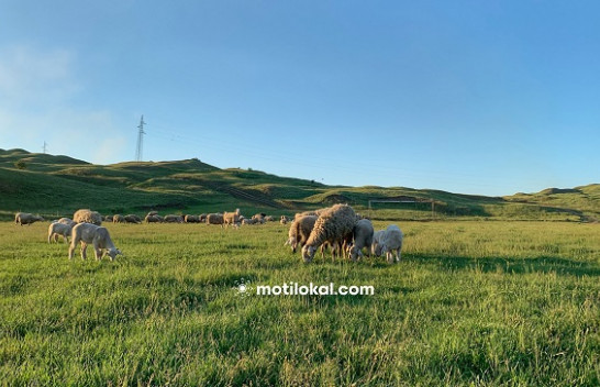 Moti, këto janë temperaturat për sot dhe fundjavë në Kosovë